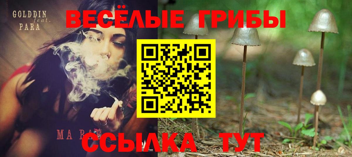 Сегежа  Лсд 25  Мефедрон кристаллы  Вход с VPN  ГАШ  Конопля  Cocaine 