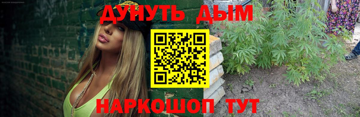 Бошки марихуана AK-47  Вход с VPN  Марихуана семена  МАРИХУАНА OG Kush  Сегежа 